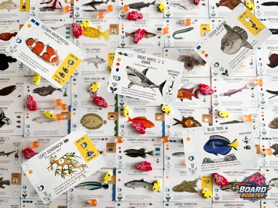 年的10款必玩桌游请你来打分！瓦力棋牌游戏回顾2025年上半(图11)